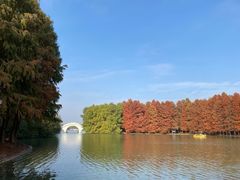 -上海海湾国家森林公园