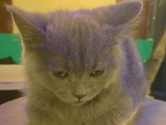 -解个谜沉浸剧情密室(天河店)