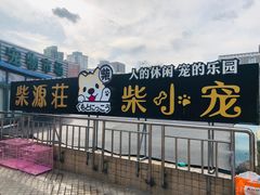 -柴源莊·柴小宠柴犬咖啡