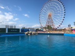 -三亚海昌梦幻海洋不夜城