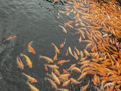 -长春市南湖公园