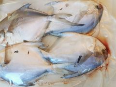 -东北大厦酒店(沈阳北站青年大街店)