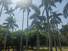 -中国科学院西双版纳热带植物园