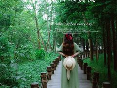 -桤木河湿地公园