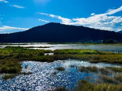 -腾冲北海湿地