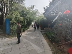 -万寿八仙宫