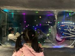 -MR.ZOO小小动物元室内动物园(沈阳沈河盛京中心)