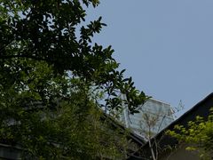-元古雲境(太古里店)