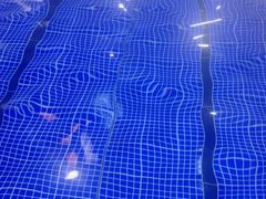 -小蓝鲸游泳培训基地(积水潭店)