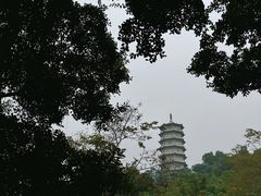 -深圳国际园林花卉博览园