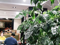 -皇城根·鲁菜济南菜·吊炉烤鸭·炒鸡鱼头(济南旗舰店)