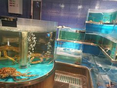 -沈灶河豚宴·河豚融合餐厅(汉中路店)