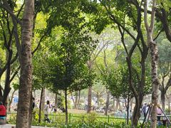 -火炉山森林公园