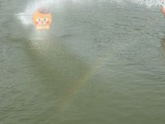 -苏州太湖西山岛开心农场