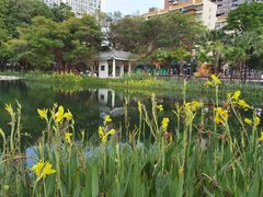 -四海公园(南山区)