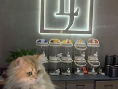 -LJ掼蛋·棋牌会所(徐汇店)