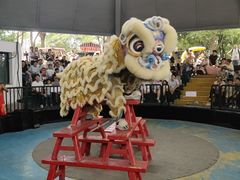 -淹城春秋乐园