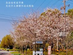 -外高桥保税区南(地铁站)