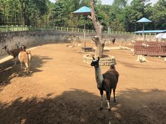 -西安秦岭野生动物园