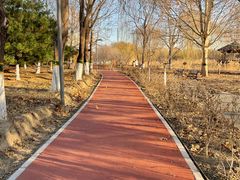 -大兴滨河森林公园