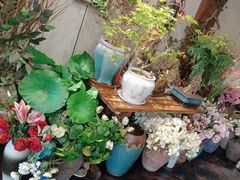 -山海经·海边人家 海鲜新青岛菜(扬州路店)