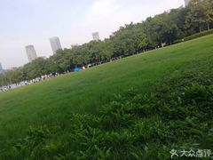 -天鹅湖体育公园