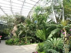 -北京植物园-展览温室