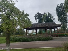 -白鹭湾湿地公园