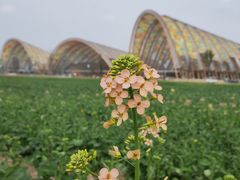 -中国天府农业博览园