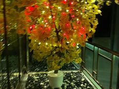 -丽晶大班SPA(大沽店)
