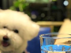 -臻鲜燕海鲜融合餐厅(金陵style店)