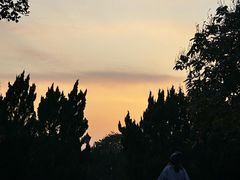 -南沙蒲洲花园