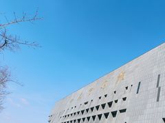 -山东博物馆