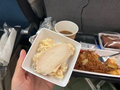 -新加坡航空公司(ION)