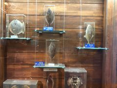 -多彩贵州城极地海洋世界