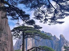 -黄山风景区