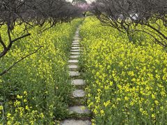 -凤凰沟景区