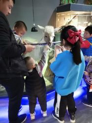 -未来动物城主题公园(正弘城店)