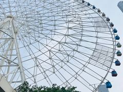 -南昌之星摩天轮