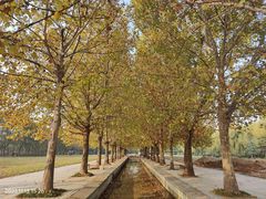 -洛阳市隋唐城遗址植物园
