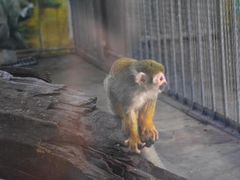 -西安秦岭野生动物园