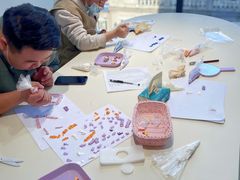 -怪兽屋·羊驼·猫咖·狗咖(俊华广场店)