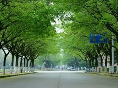 -山东理工大学