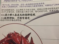招牌龙虾-沪小胖小龙虾(淮海中路旗舰店)