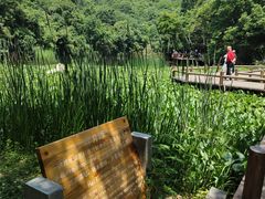 -天目湖山水园