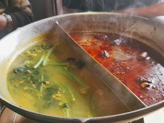 -湊湊火锅·茶憩(新中关购物中心店)