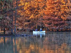 -上海海湾国家森林公园