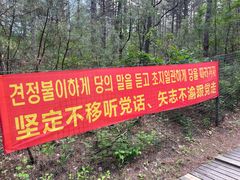 -帽儿山国家森林公园