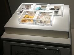 -南越王博物院(王宫展区)