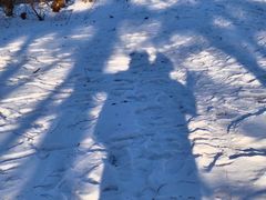 -长春公园(普阳街道)